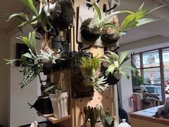 -本無咖啡·BeanWood Coffee