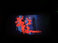 -华美国际影城(旧宫永辉店)