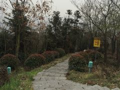 -游子山休闲旅游区