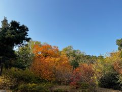 -香山公园