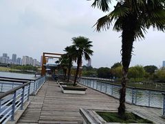 -白塘生态植物园