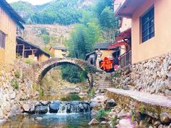 -杨家堂村