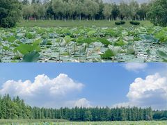 -艾溪湖湿地公园