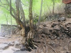 -孤山寨风景区