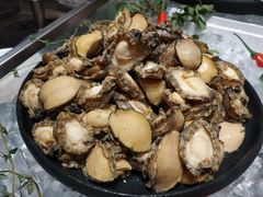 -上海金山滨海铂骊酒店-铂雅全日餐厅