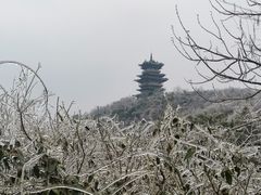 -杭州半山国家森林公园