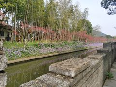 -苏州太湖西山岛开心农场