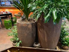 -老客家·客家菜(万达店)