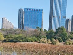 -艾溪湖湿地公园
