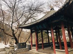 -千佛山风景名胜区