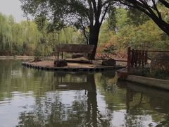 -洛阳市隋唐城遗址植物园