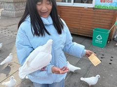 -天津妈祖文化园