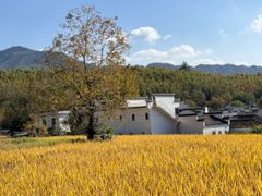 -塔川景区