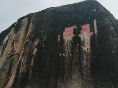 -呀诺达热带雨林
