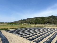 -岚山嵯峨野观光小火车