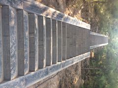 iphone_upload_pic-蒙山大佛景区