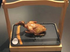 -羽鸽集·乳鸽专门店·地道顺德菜(岭南站店)