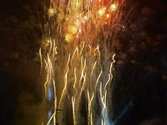 -花博汇(知音花月夜)