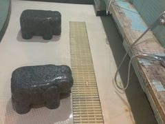 -菲鱼体育恒温游泳馆(中海名城店)