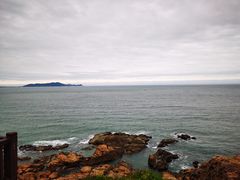 -南国锋味椰子鸡(瀚海店)