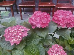 -海窝子古镇
