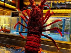 -上和臻品中国菜(花园街店)