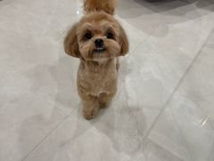 -FAELING PETS美天灵宠物(合生汇店)