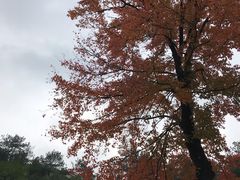 -韶山毛泽东同志故居