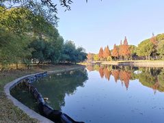 -无锡蠡湖国家湿地公园-蠡园