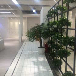 -P.STYLE派斯造型