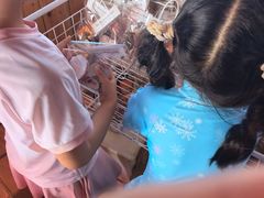 -蓝湾碧波·老字号·疍家非遗海上餐厅