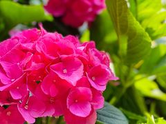 -常州古运河南大街文化旅游区-人民公园