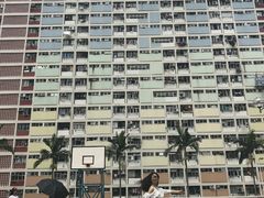 -彩虹村