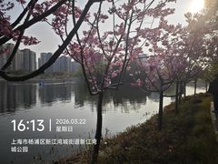 -新江湾城公园