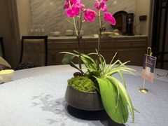 -狮王府淮扬菜(万象城店)