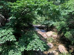 -崂山九水游览区