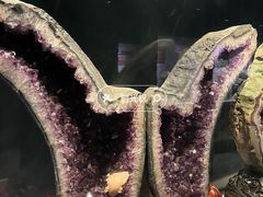 -正佳自然科学博物馆