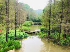 -云溪植物园