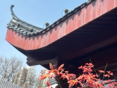 -堤角公园