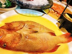 -甄御•海鲜新青岛菜(麦岛店)