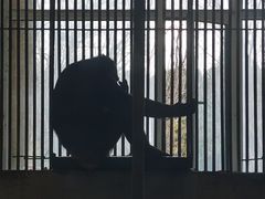 -太原动物园