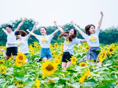 -南京信息职业技术学院