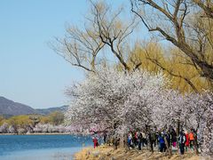 -颐和园