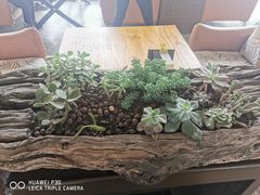 -候鸟等风来·精致西厨(万科第五城店)