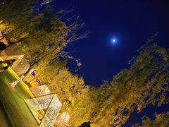 -维斯特·夜烤牛肋条任吃