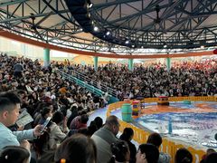 -海合安武汉极地海洋公园