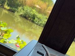 -绿茶餐厅(龙井船宴· 品牌总店)