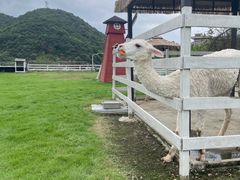 -宁波九龙湖开元度假村
