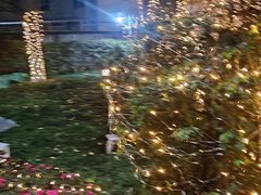 -岷山饭店-芝芝自助餐厅