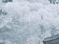 -妙峰山风景名胜区